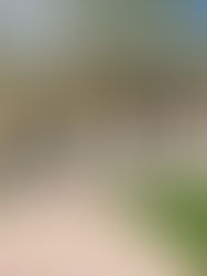 Long lasting driveway materials