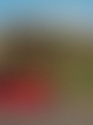 asphalt services in Oliver