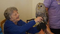 18699584_1476119782439492_1644648962956967339_o