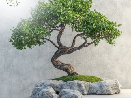 The Power of the Present Moment: Why Being Here, Now, Changes Everything