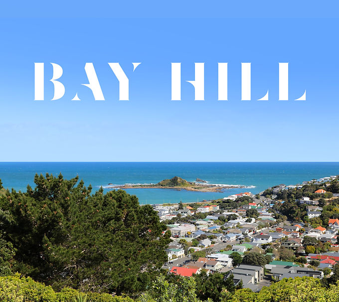 Bay Hill - Hero_Logo 1-1 (1).jpg