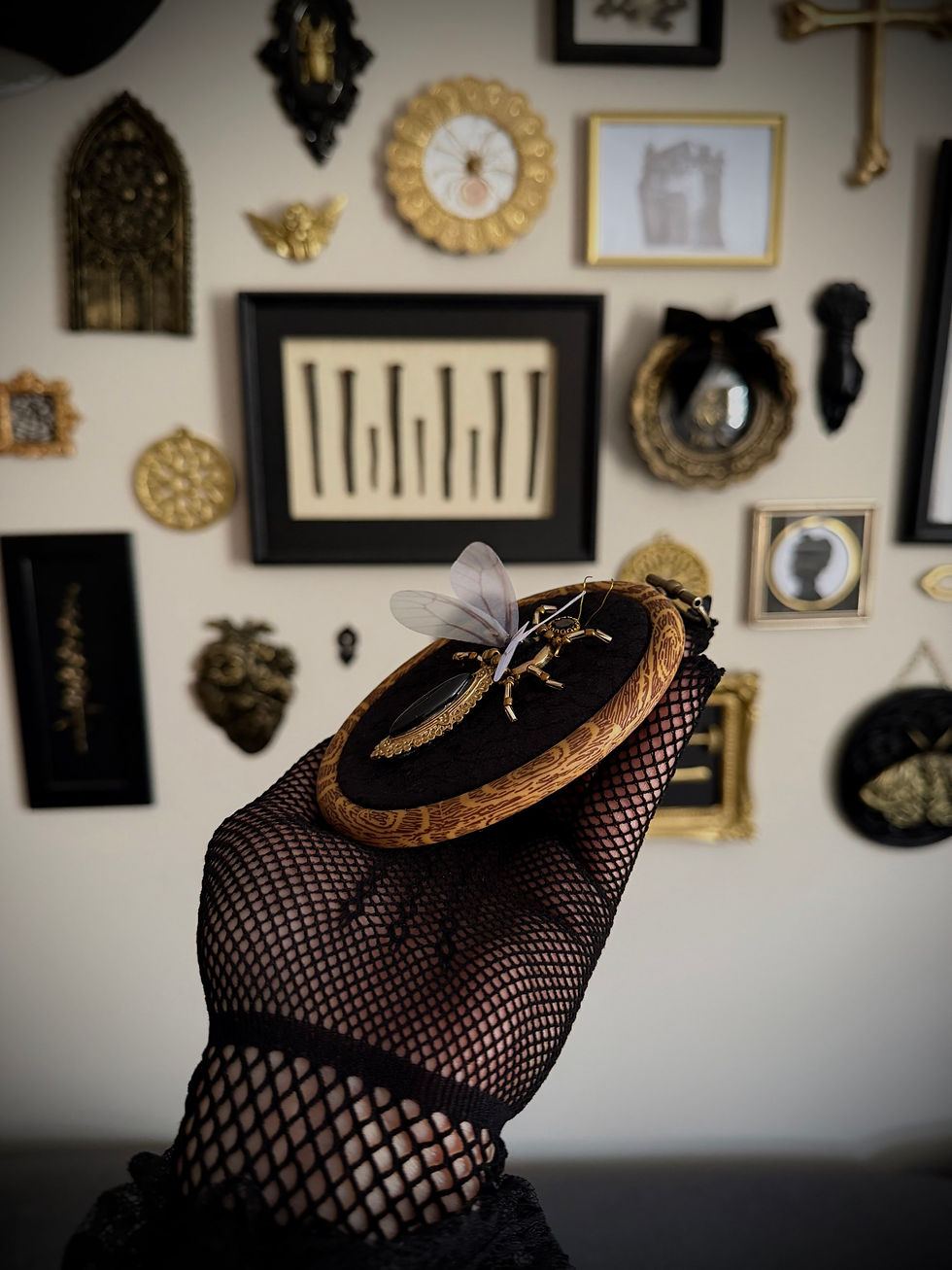 Thumbnail: The Mourning Darner 