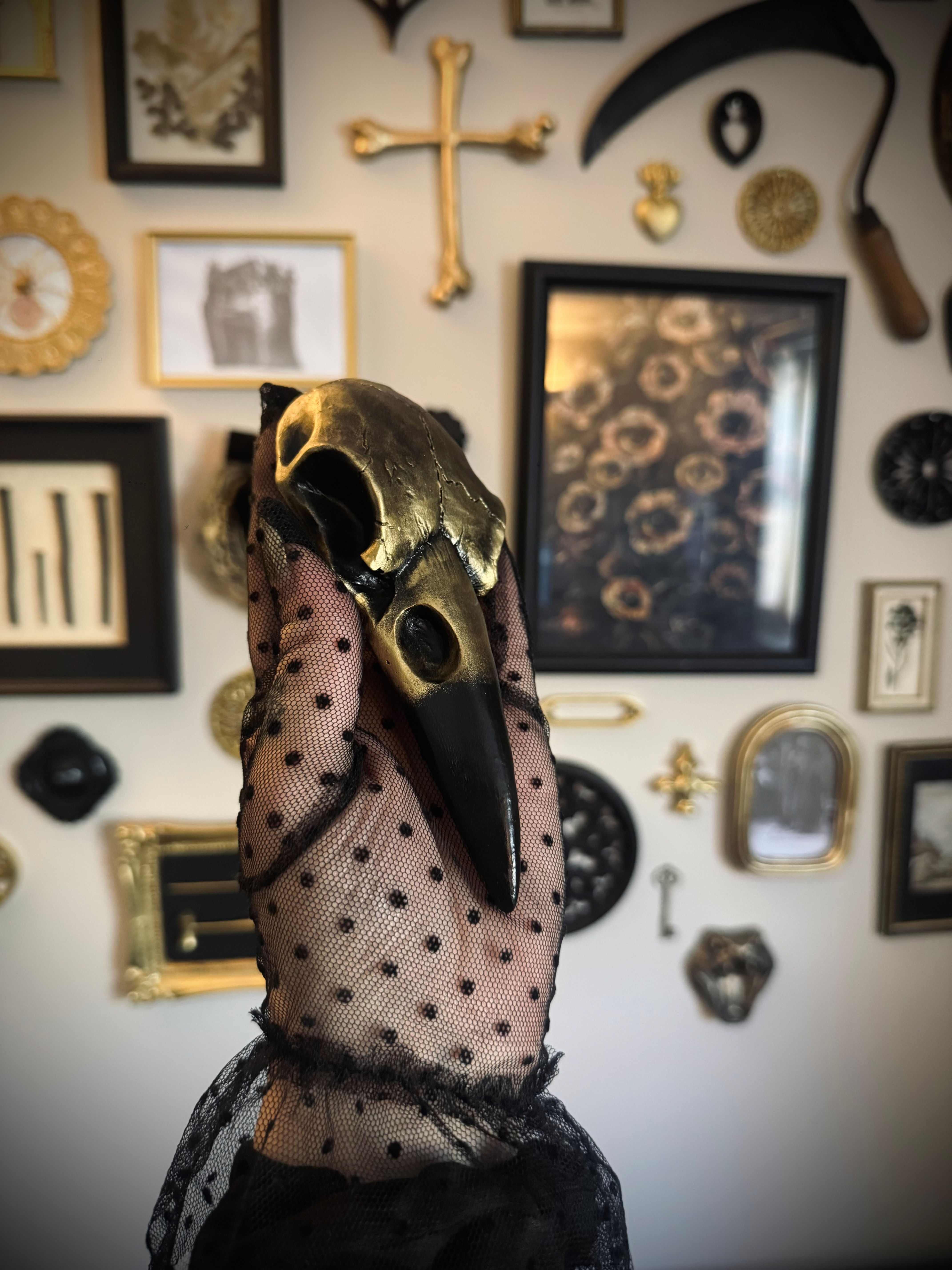 Raven Skull | Wall Hanging