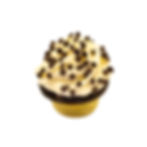 Chocolate Chip Cheesecake