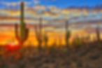 Sunset in Sonoran Desert, near Phoenix..jpg