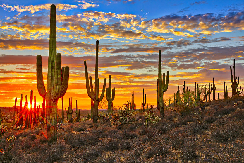 Sunset in Sonoran Desert, near Phoenix..jpg