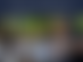 Vietnamese Basic Words and Phrases