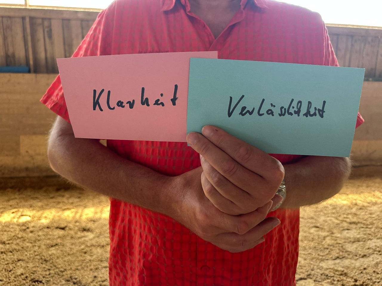 Zwei Personen stehen einem Pferd gegenüber im Pferdegestützten Teambuilding