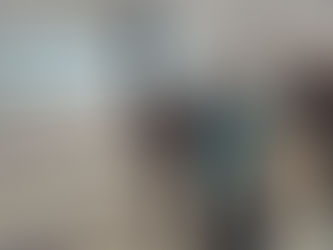 Coaching mit Pferden persönliche Erfahrung