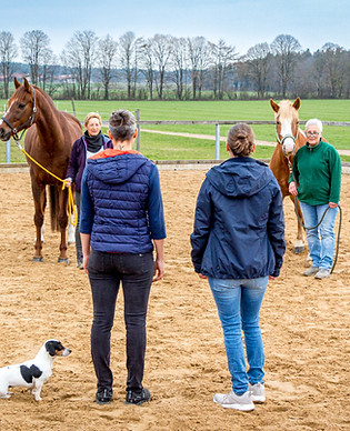 Teambuilding mit Pferden bei München