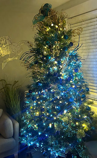 Turtleback Xmas 2025 -2.jpg