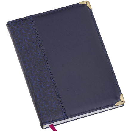 Agenda Diária