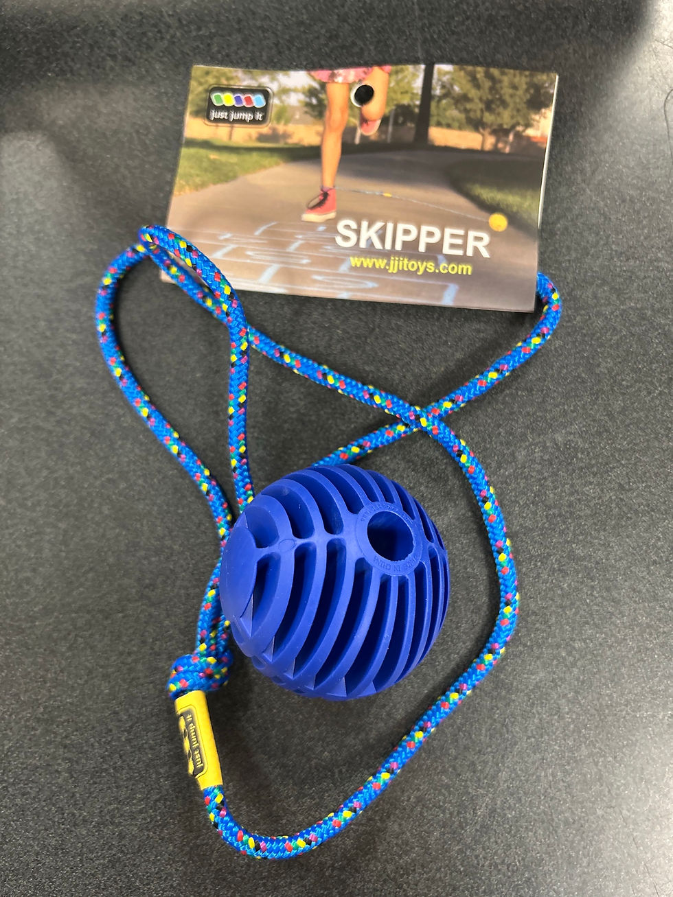Thumbnail: Skipper