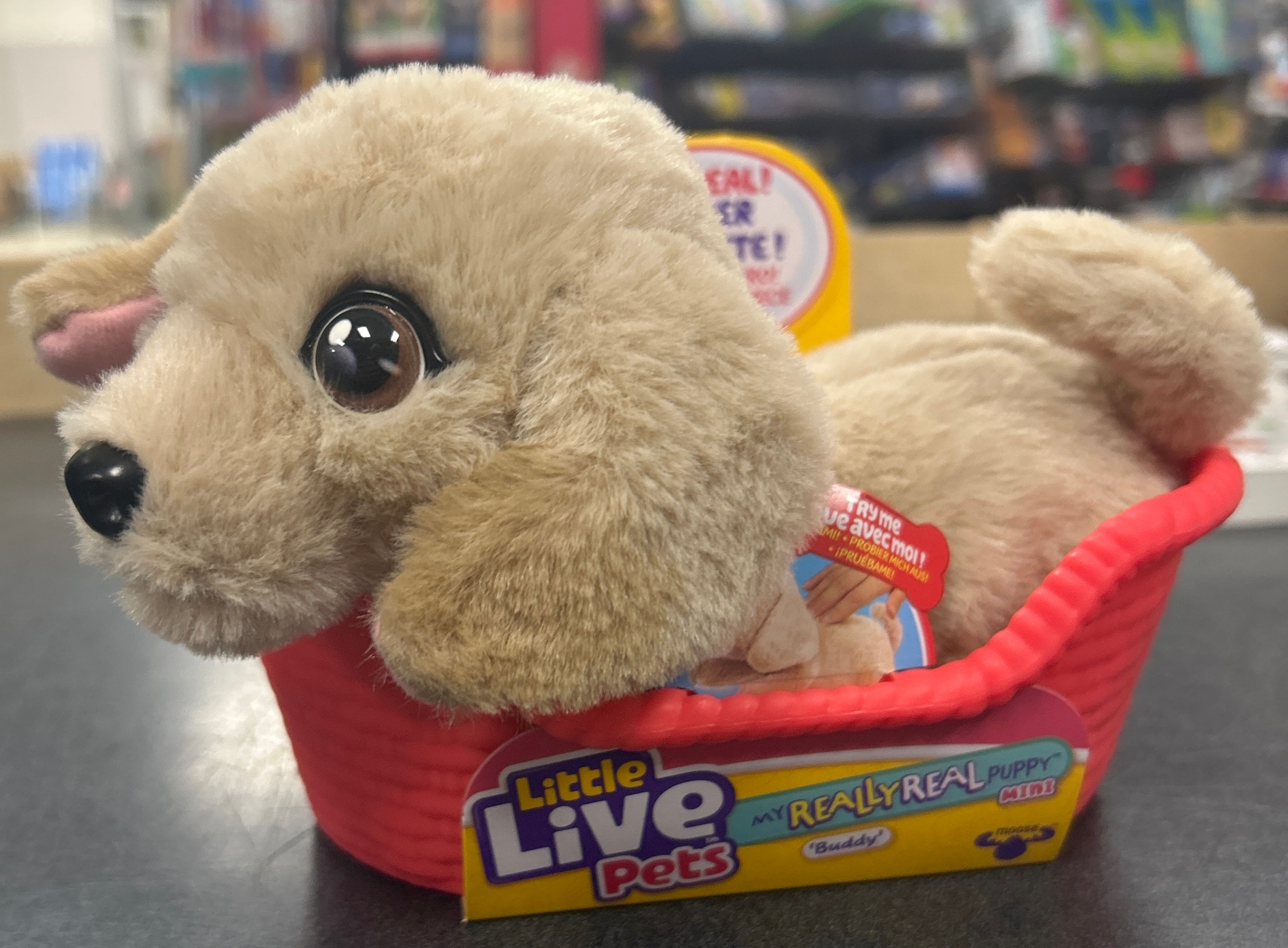 Buddy Little Live Pet