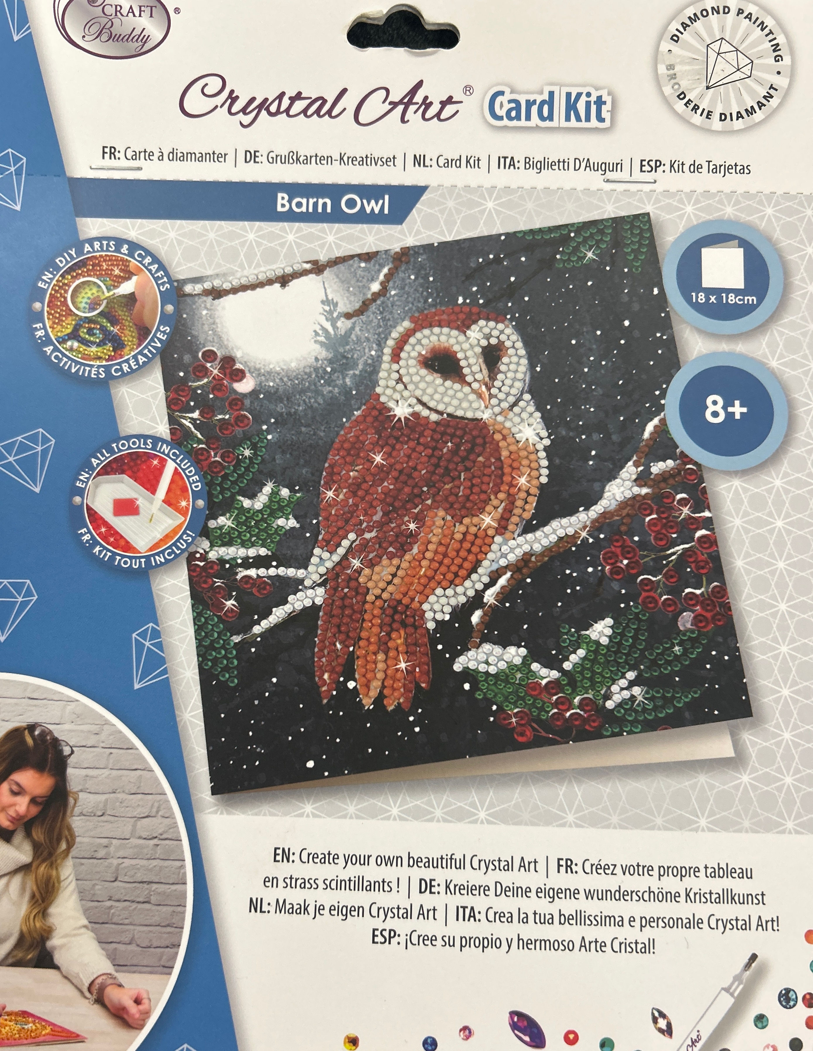 Crystal Art Card Kit Barn Owl