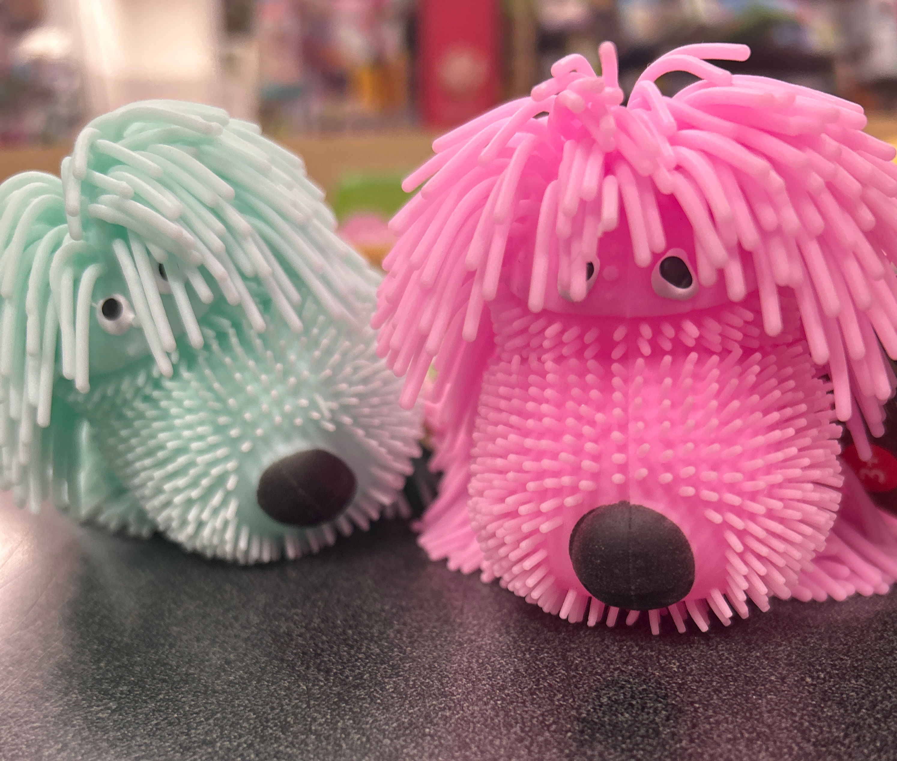 Mini Shaggy Dog