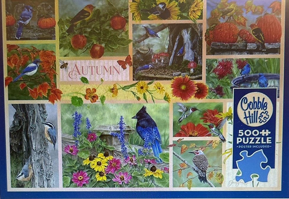 Thumbnail: Garden Birds in Autumn