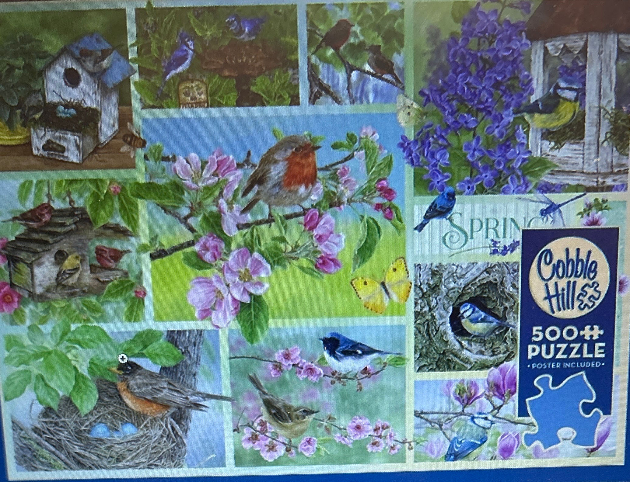 Garden Birds In Spring