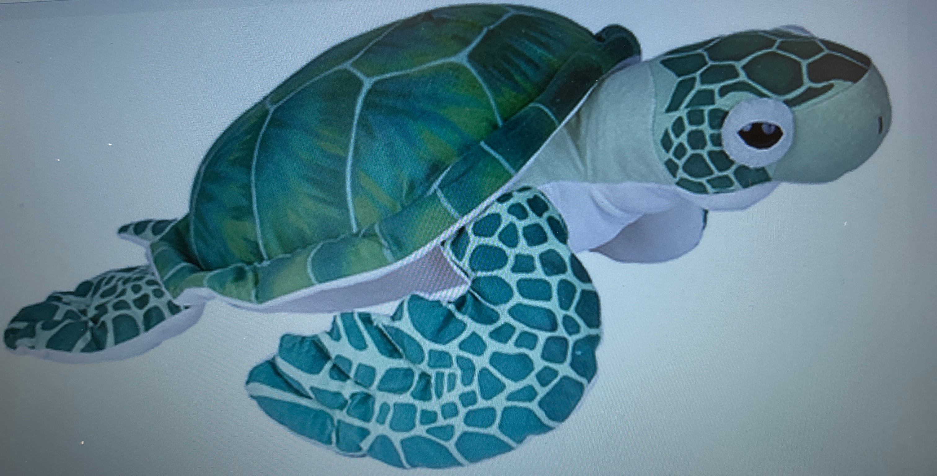 Green Sea Turtle