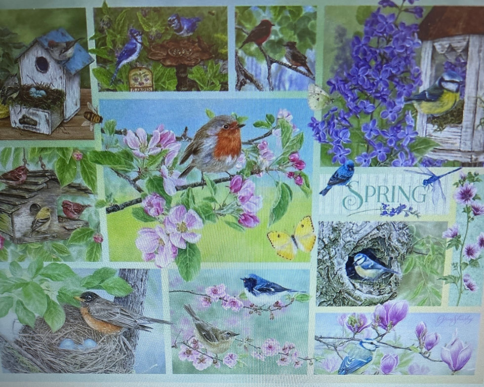 Thumbnail: Garden Birds In Spring