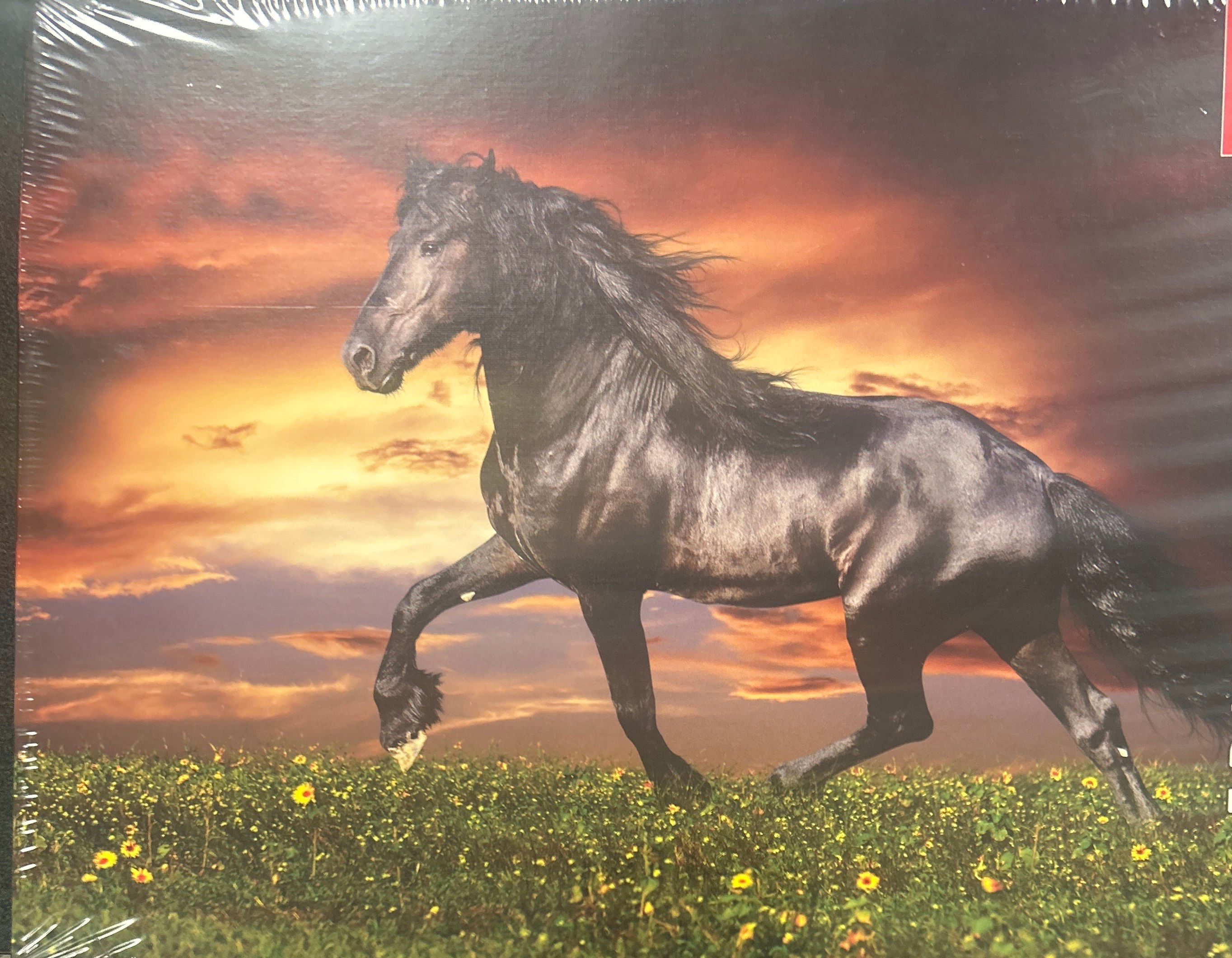 Trotting Horse