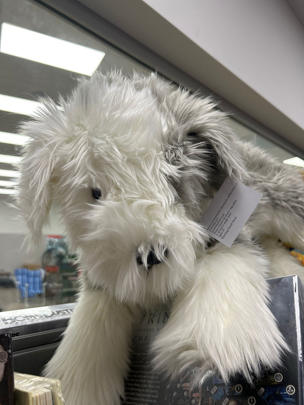 Thumbnail: Rory the Old  English Sheepdog
