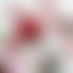 Utensilios de repostería que no pueden faltar en tu cocina