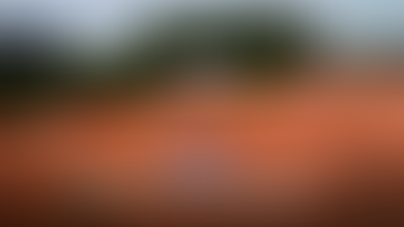 WORD PARTNER VAN SPORTA