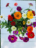 Thumbnail: Fresh cut zinnia arrangement in mason jar