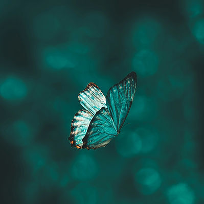 aarn-giri-IBhsB71R97k-unsplash_edited.jpg