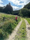 Gate near stepping stones.jpg