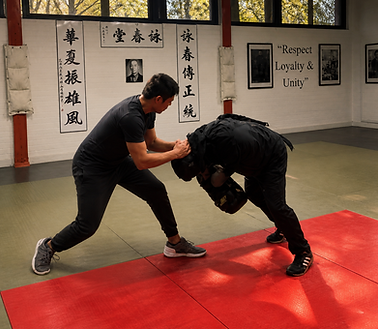 selfdefense_takedown_head.PNG