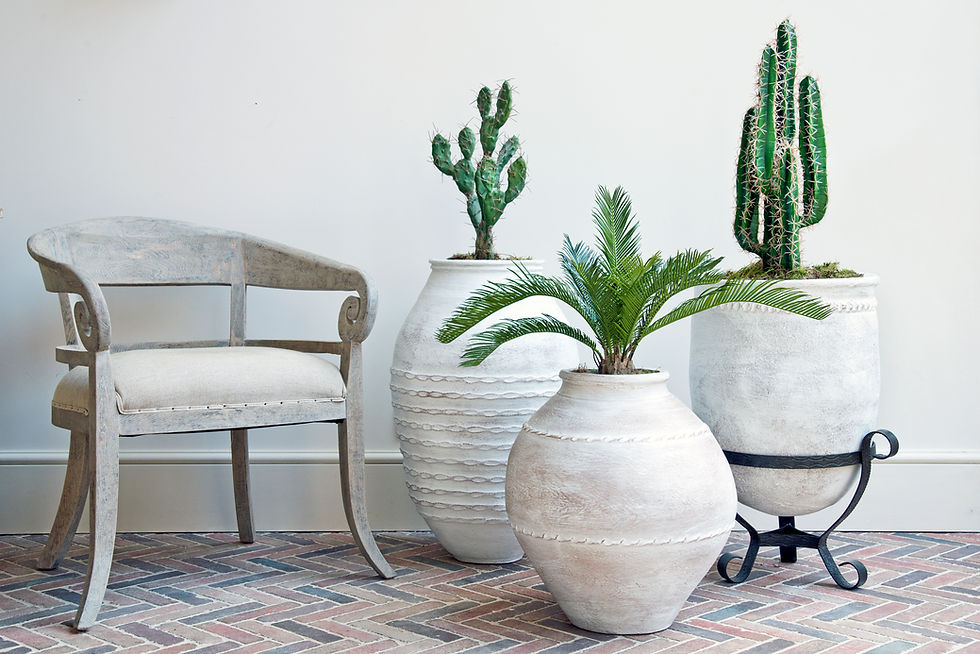 Thumbnail: Artificial Cactus Finger with Mediterranean 2 Planter & Stand
