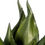 Thumbnail: Artificial Agave with Mediterranean 1 Planter - OUT OF STOCK