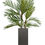 Thumbnail: Areca Palm with Geo Square Planter