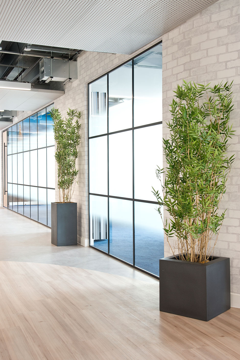 Thumbnail: Artificial Bamboo with Geo Cube Planter
