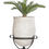 Thumbnail: Artificial Cycas Palm with Mediterranean 2 Planter & Stand