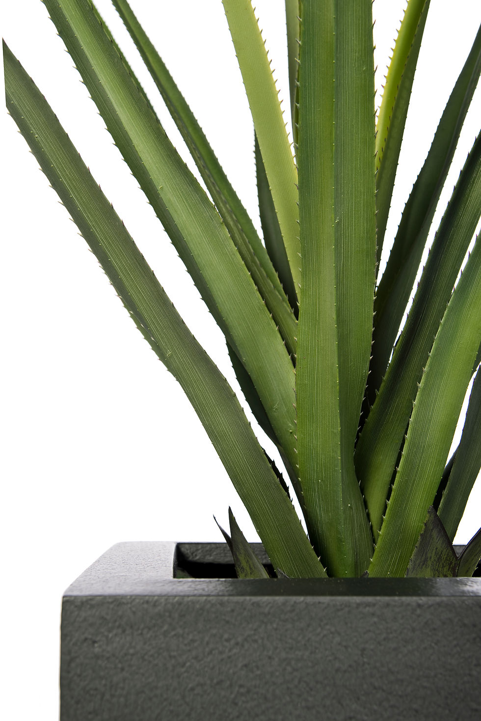 Thumbnail: Artificial Pandanus with Geo Square Planter
