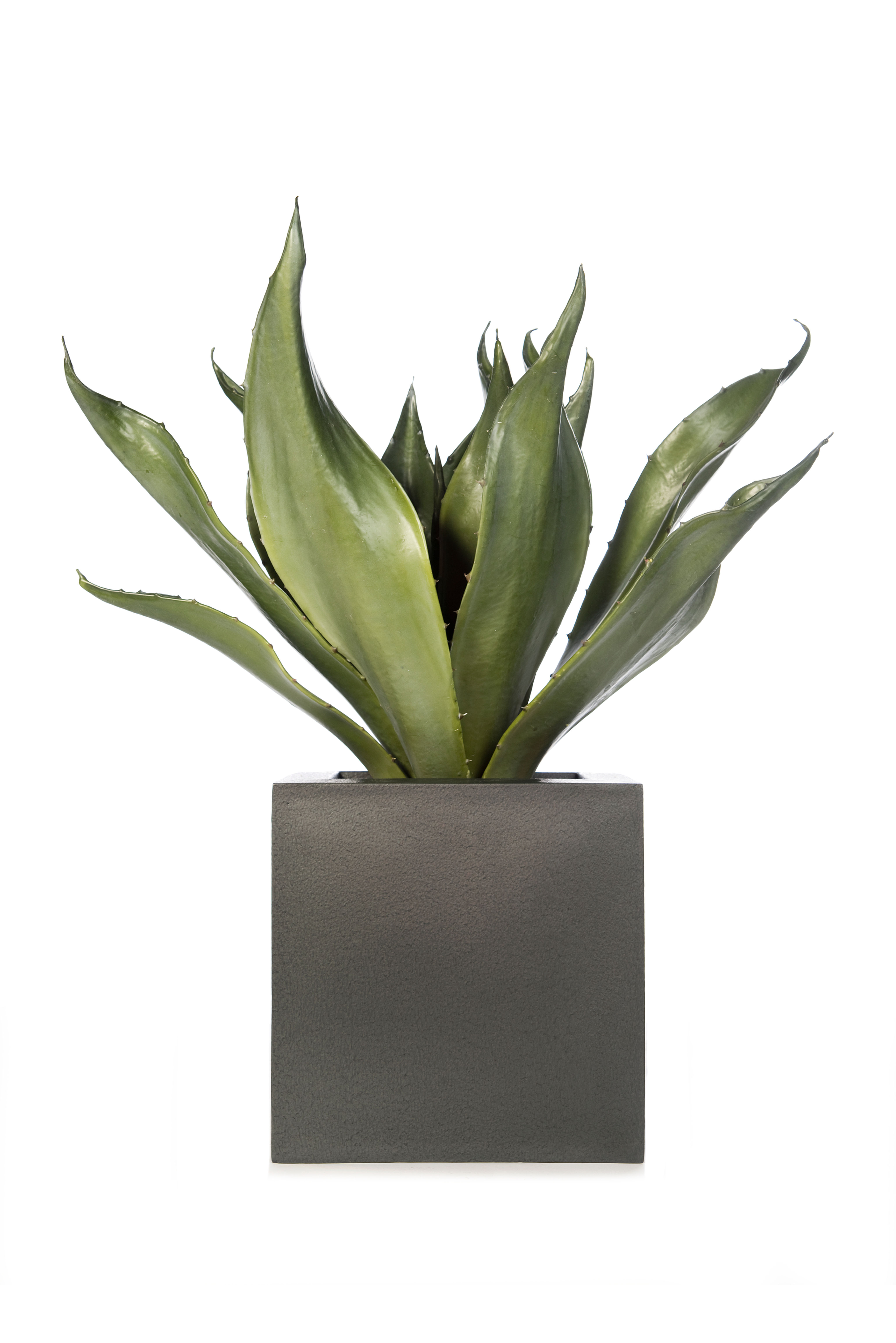 Artificial Agave with Geo Cube Planter - CURRENTLY OUT OF STOCK