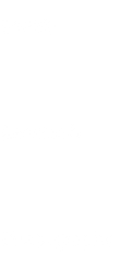 watermark3.png