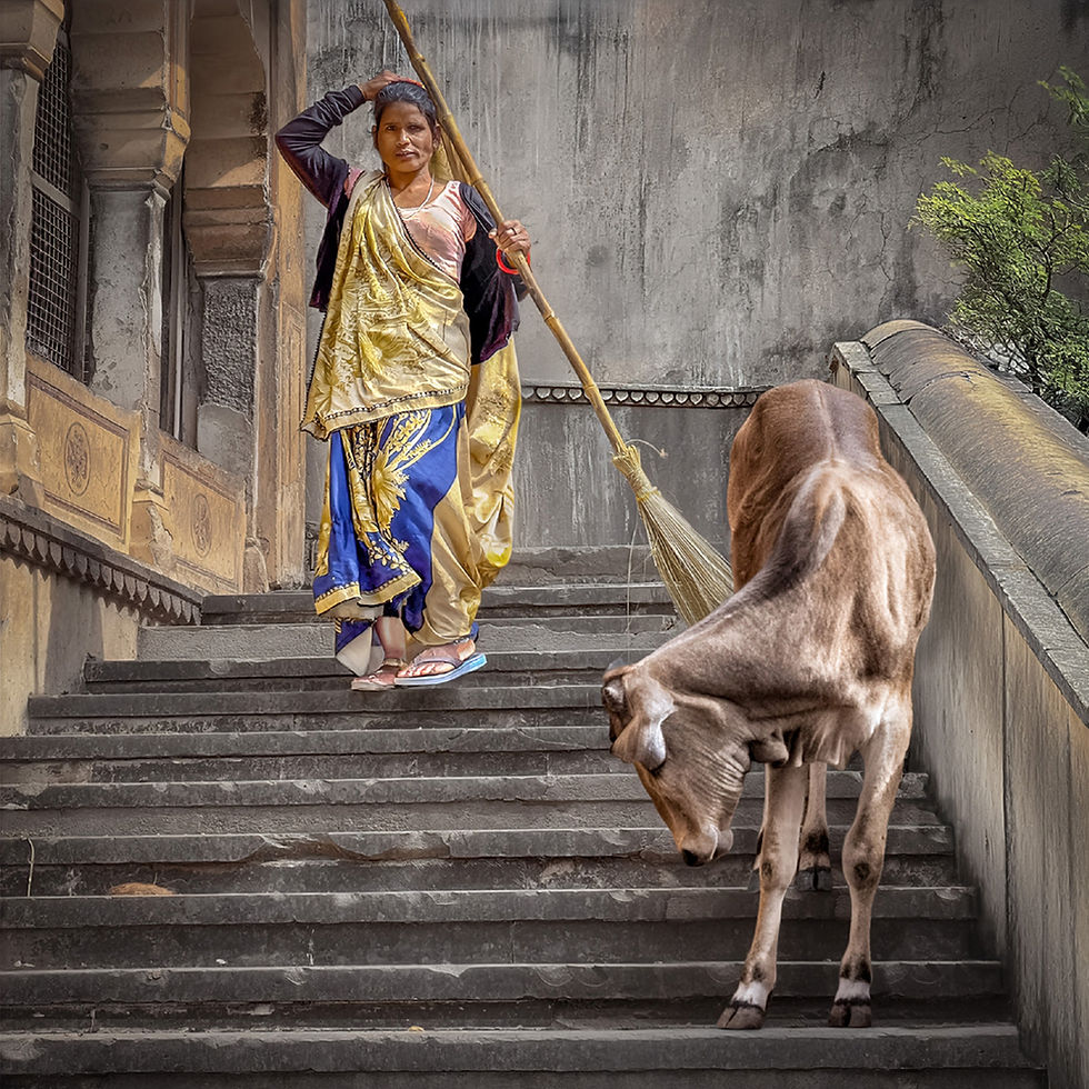 1st Place Intermediate - Sacred Cow by Michelle Cirkel