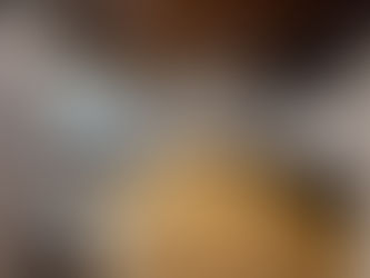 WCC Annual Exhibition