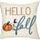 Thumbnail: Fall Pillows