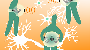 Somatic Circuits – Interactive experience with neural interfaces