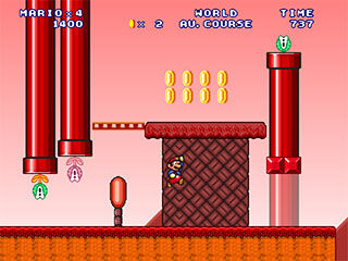 Mario Constructor Master