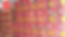 MS WIX.png