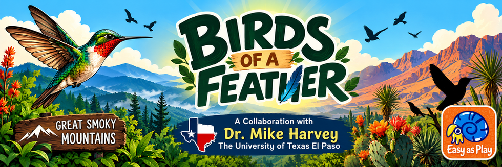 Birds of a Feather