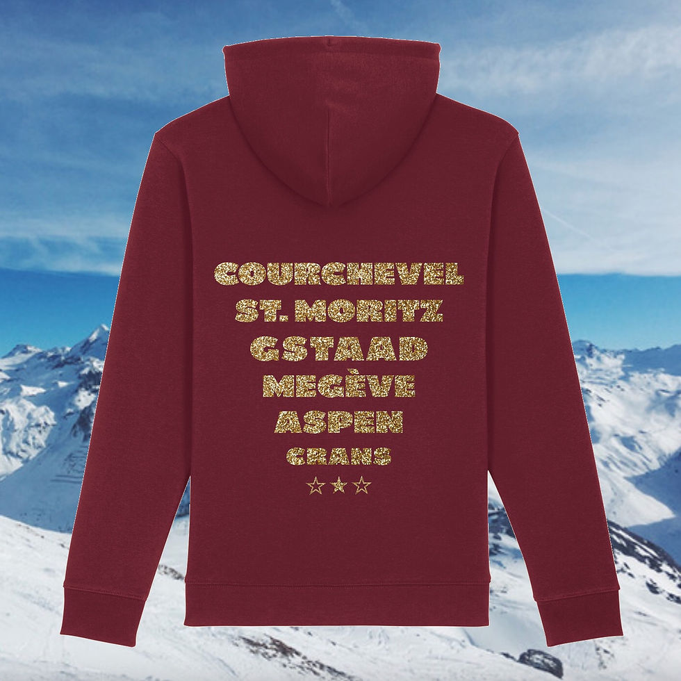 Miniature :  Hoodie NouSky Stations de Ski 