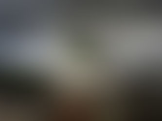 Siege of Osaka Castle November 1614– January 1615.