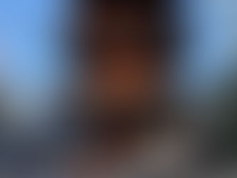 Horakuji Temple is also a famous temple in Tanabe City, Sumiyoshi County, Osaka Prefecture. It's worth visiting this place.